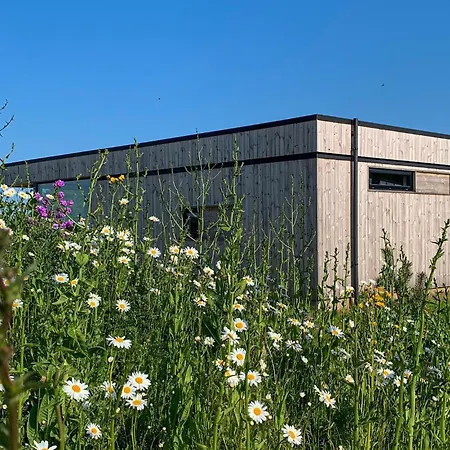 Amazing In With Wifi Hébergement de vacances *